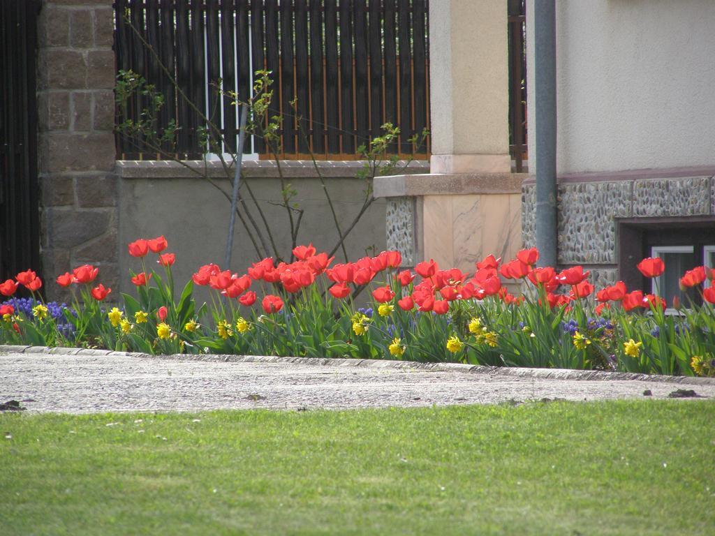 Pension Harmonia Miercurea Ciuc Zewnętrze zdjęcie